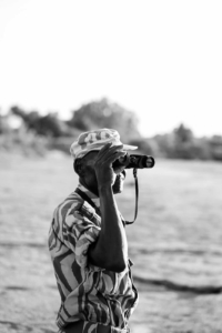 South Luangwa National Park Wildlife